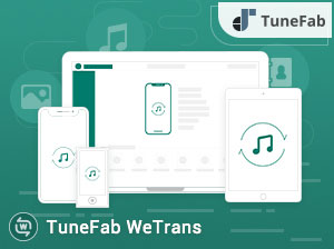 TuneFab WeTrans